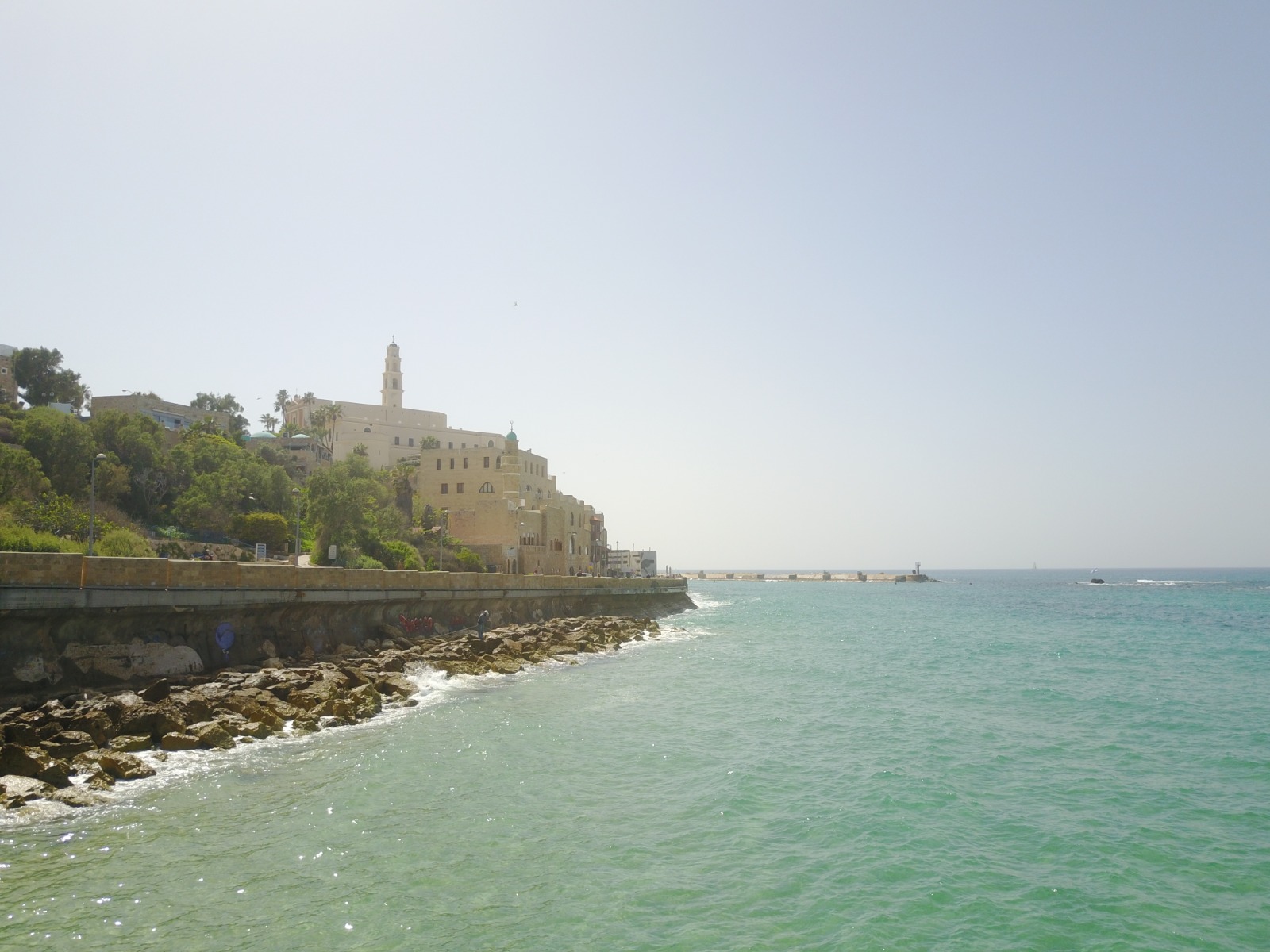 WhatsApp Image 2020-09-02 at 3.40.51 PM (1).jpeg.jpeg